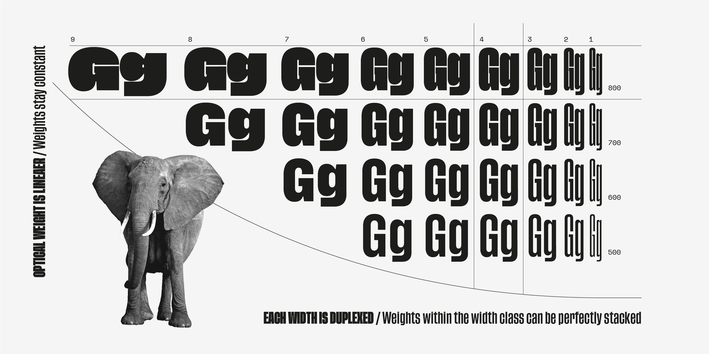 Ejemplo de fuente Tusker Grotesk #6